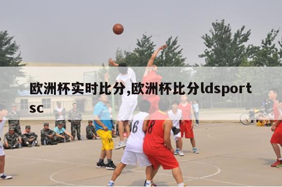 欧洲杯实时比分,欧洲杯比分ldsportsc