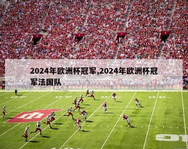 2024年欧洲杯冠军,2024年欧洲杯冠军法国队