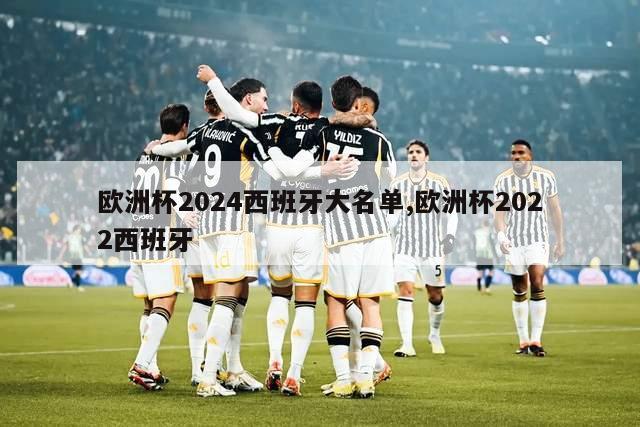 欧洲杯2024西班牙大名单,欧洲杯2022西班牙