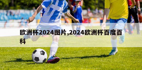 欧洲杯2024图片,2024欧洲杯百度百科