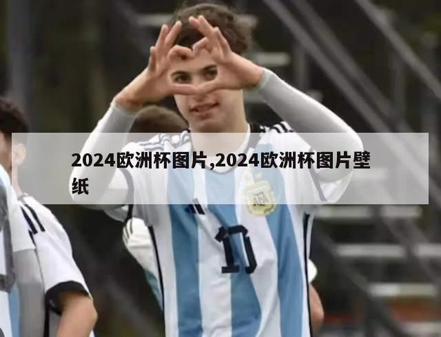 2024欧洲杯图片,2024欧洲杯图片壁纸