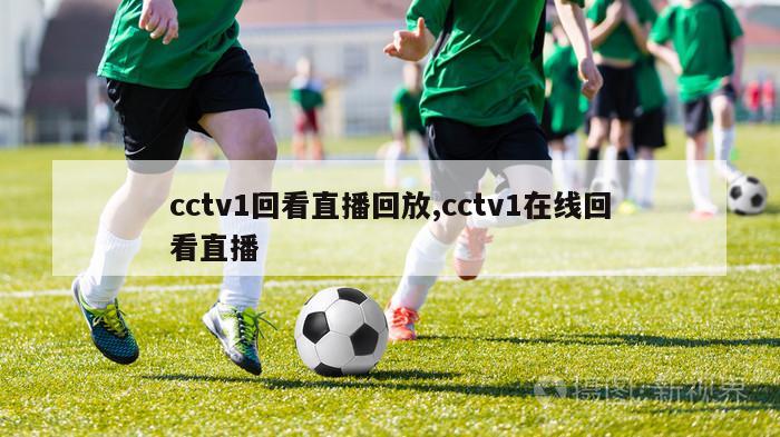 cctv1回看直播回放,cctv1在线回看直播